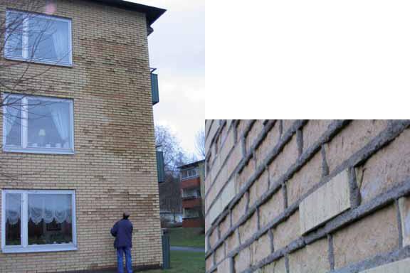 пассивный дом passive house