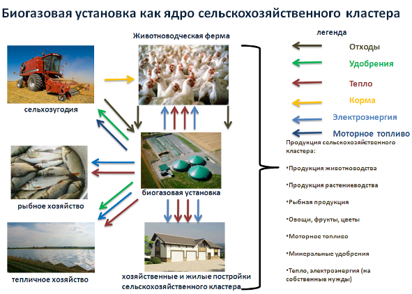 биогазовая установка biogas plant
