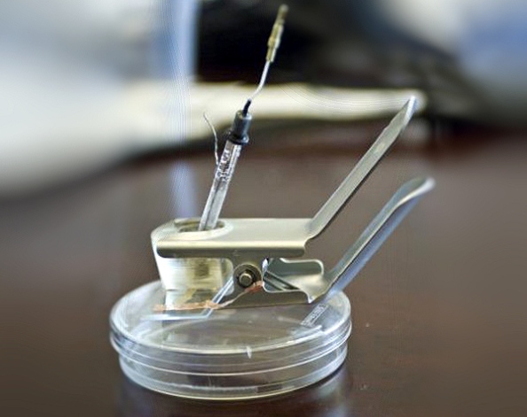 самособирающиеся солнечные ячейки