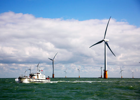 ветроферма ветропарк