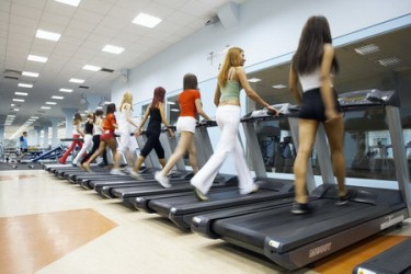 Экологически чистый тренажерный зал