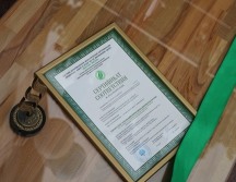 Зеленый офис